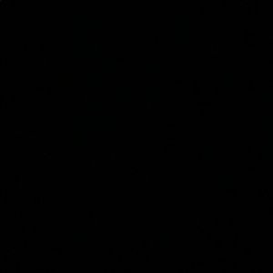 Meet your Posher, Abigail